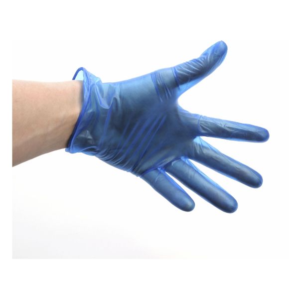 Blue Lightly Powdered Vinyl Gloves Lrg (100) - GD11-LRG (Pack of 1)