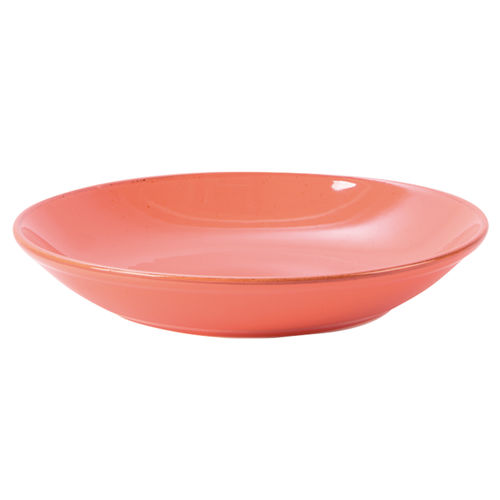 Coral Cous Cous Plate 26cm/10.25