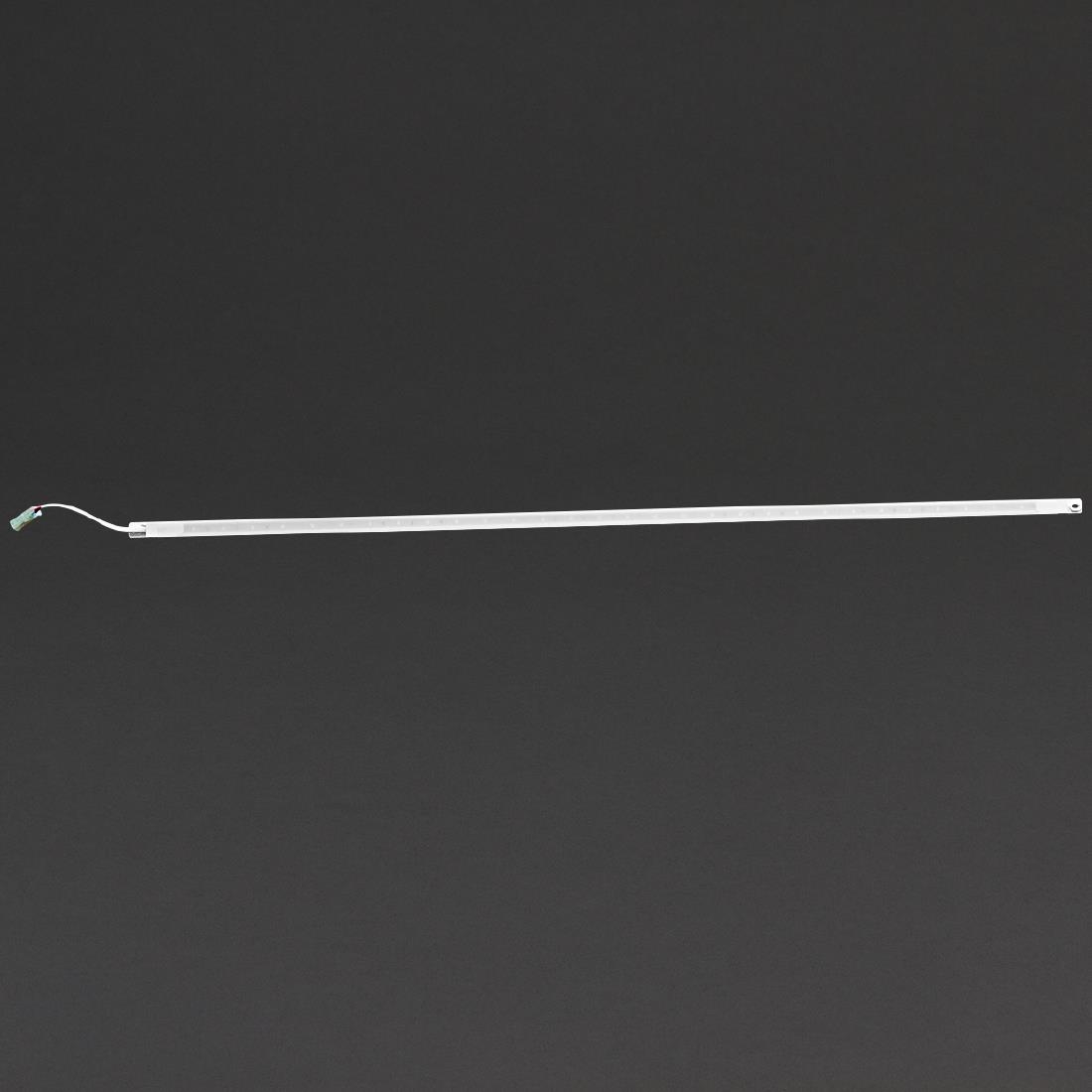 Polar Canopy LED Light